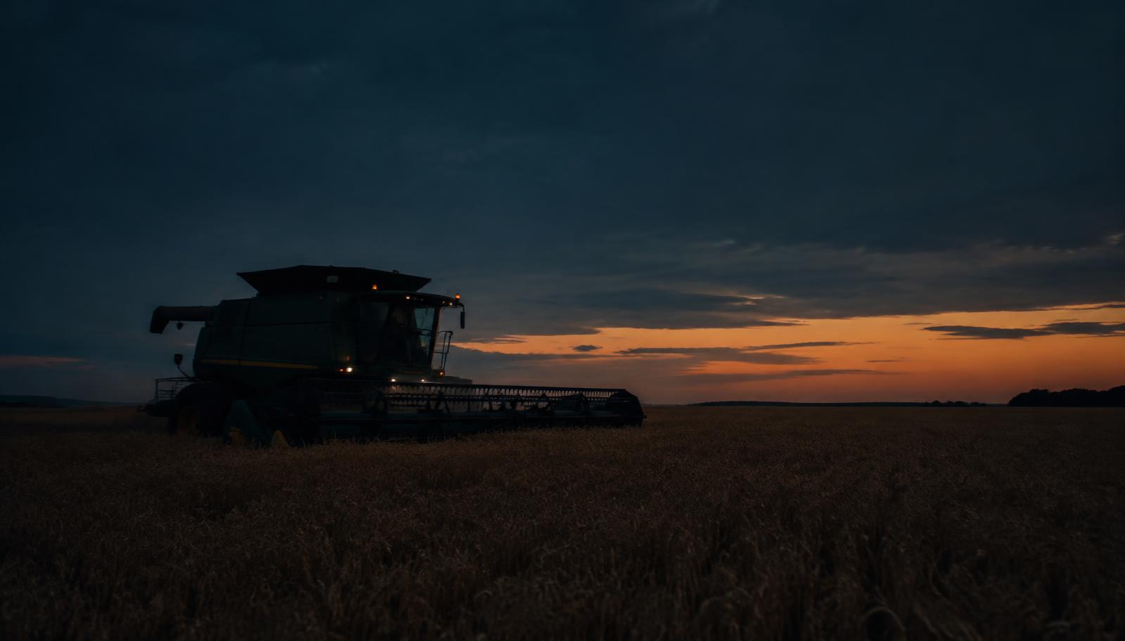 Combine harvester in a wheat field at dusk